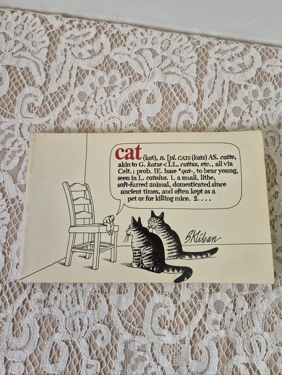 B. Kilban Other - B. Kilban Cat Book